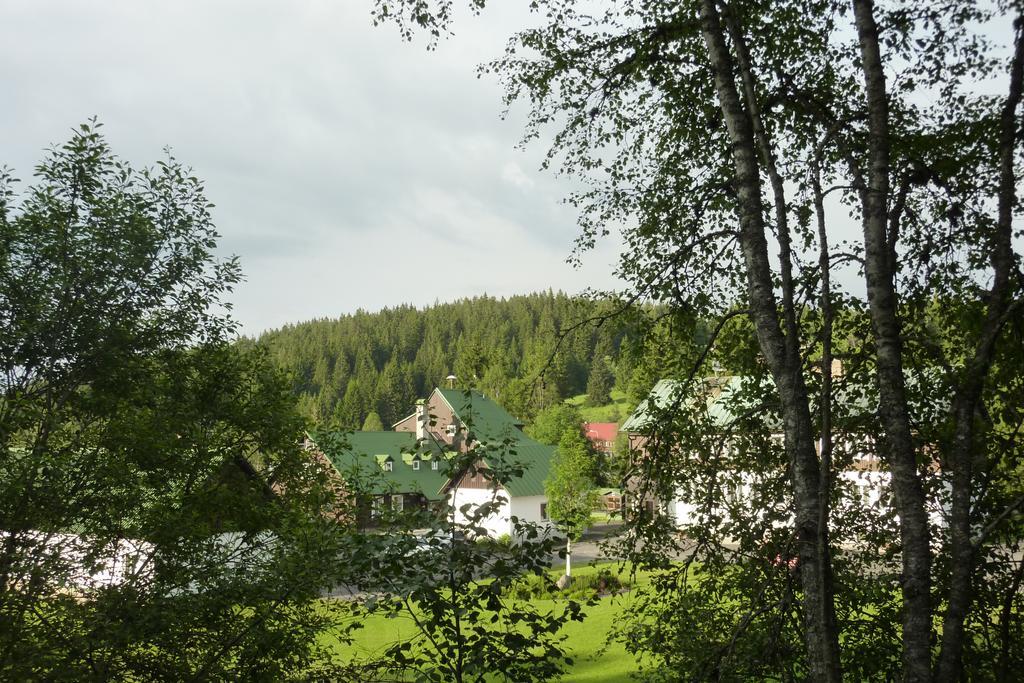 Penzion U Pstruha Modrava Bagian luar foto